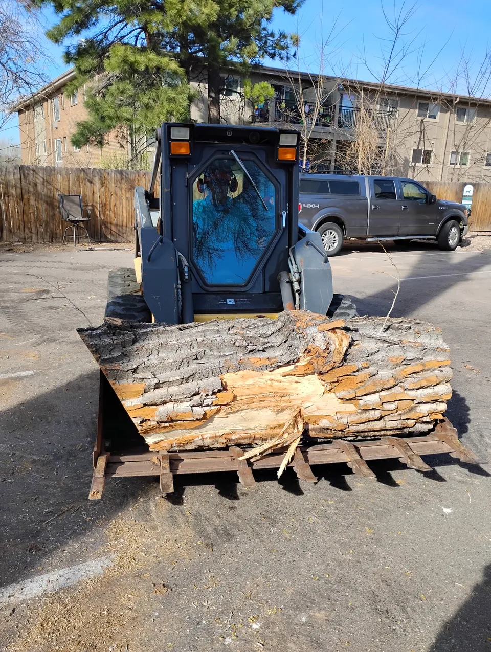 Completed tree removal — clean site