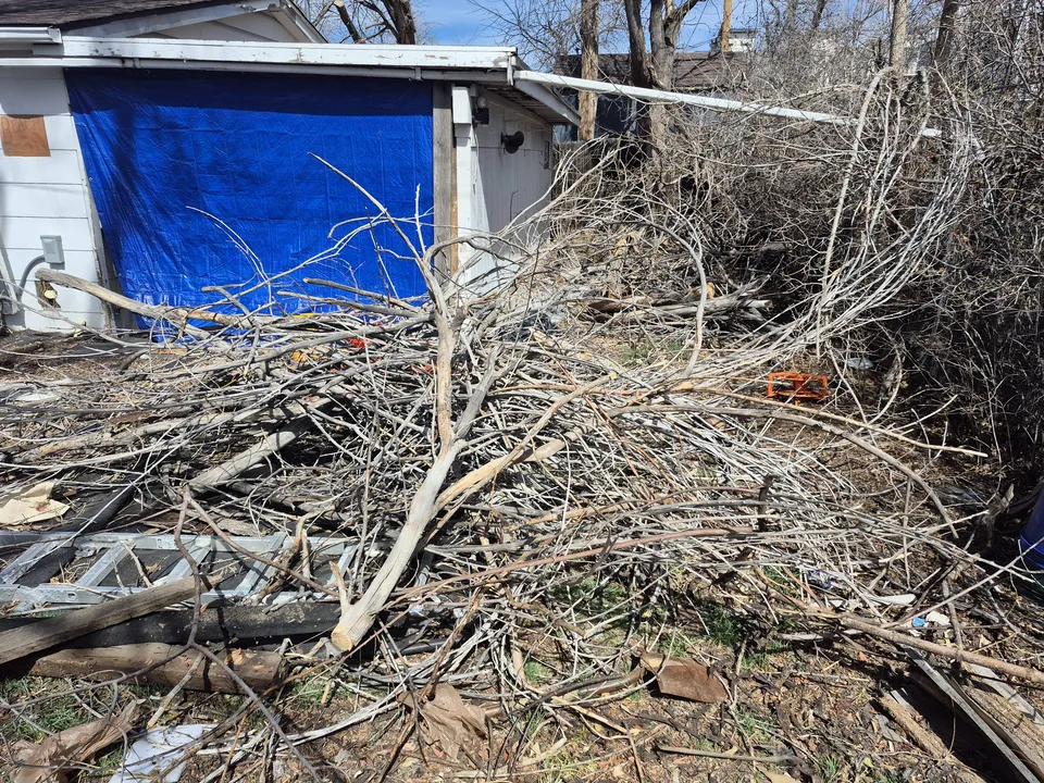 Alpenglow Tree Care crew performing defensible space fire mitigation clearing near Nederland, Colorado