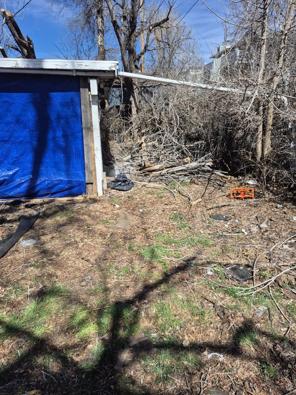 Storm-dropped limb across a shed roof awaiting cleanup
