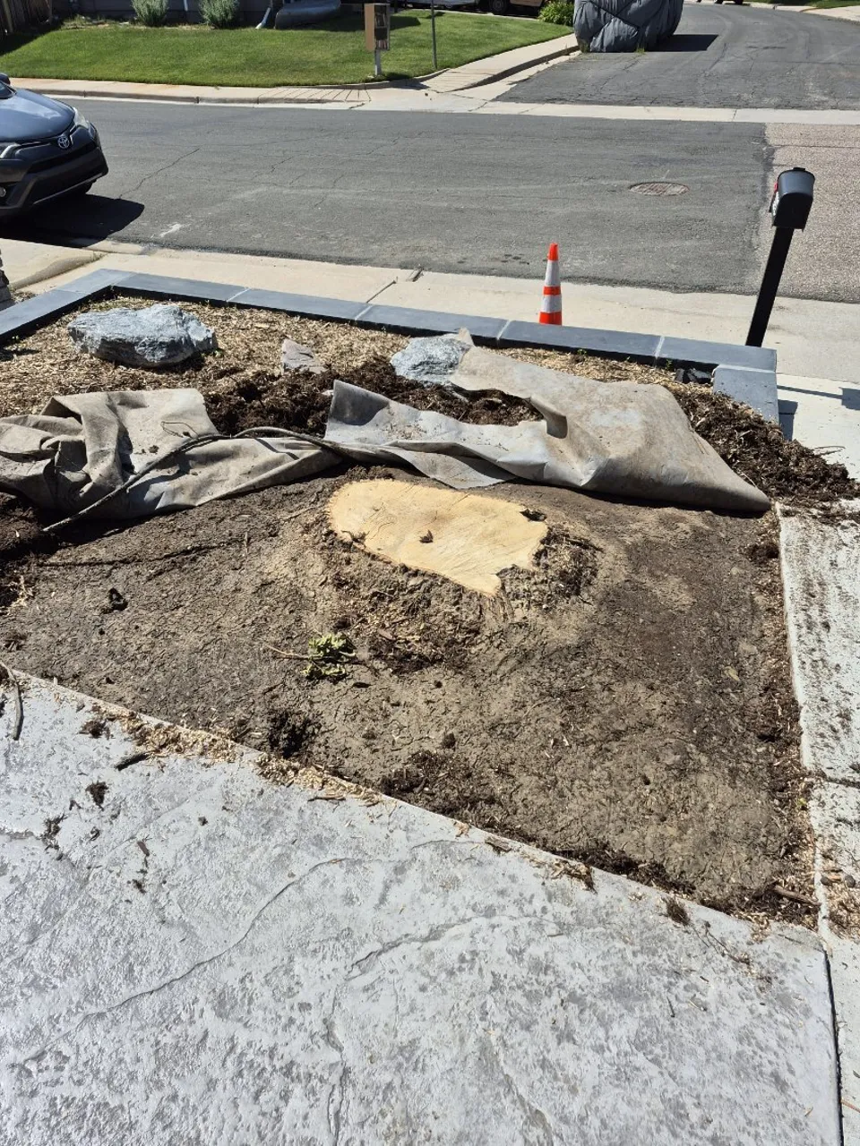 Freshly ground stump beside a Colorado driveway